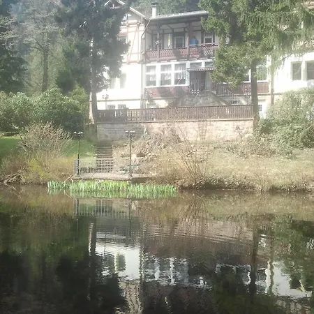 Pension Zur Schweizermuehle 3* Dohna