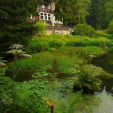 Pension Zur Schweizermuehle 招待所