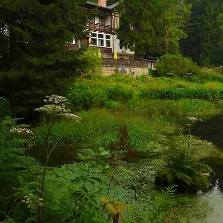 Pension Zur Schweizermuehle Dohna