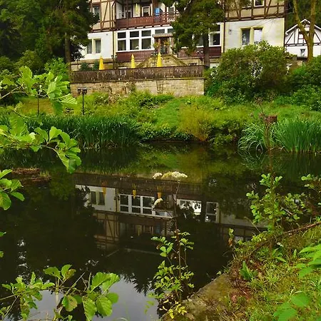 Pension Zur Schweizermuehle 招待所