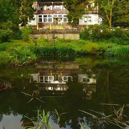 Pension Zur Schweizermuehle Dohna