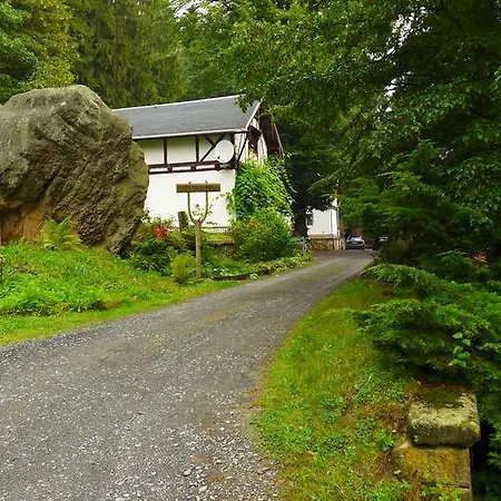 Pension Zur Schweizermuehle 招待所 Dohna
